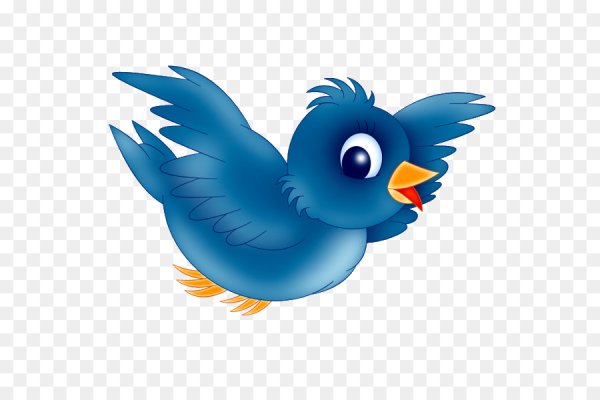 Красивые птички на прозрачном фоне