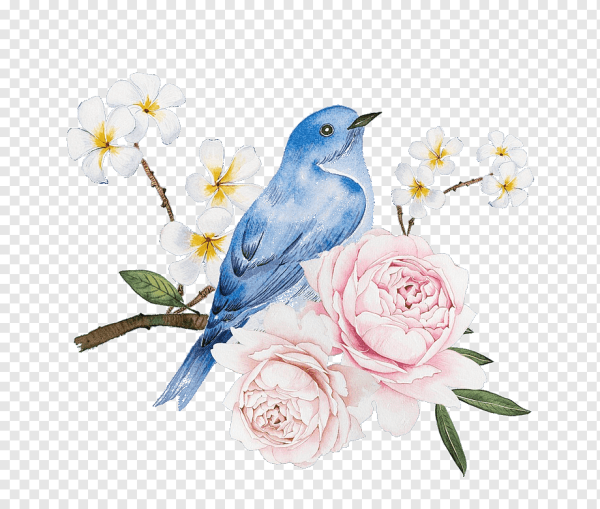 Цветы и птицы на белом фоне