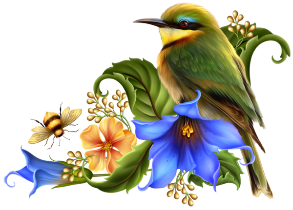 Райские птицы на прозрачном фоне