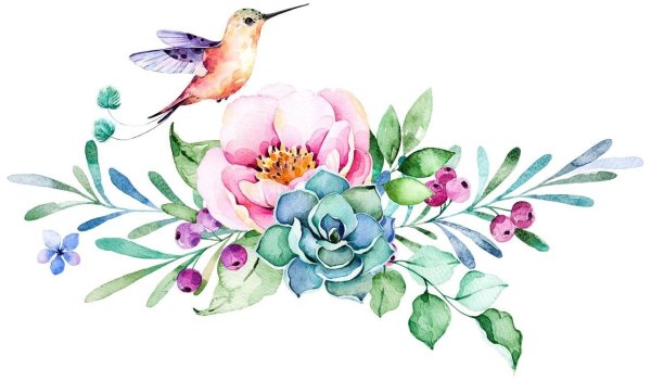 Акварельные цветы на прозрачном фоне