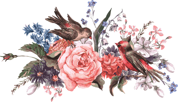 Цветы и птицы на прозрачном фоне
