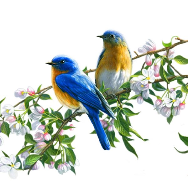 Птичка на веточке