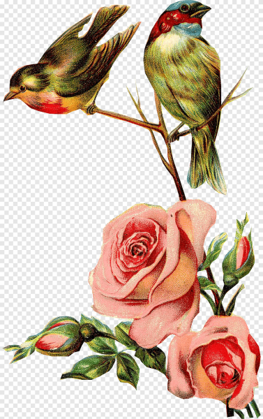 Винтажные цветы на прозрачном фоне