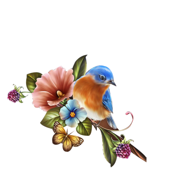 Barnali Bagchi птицы