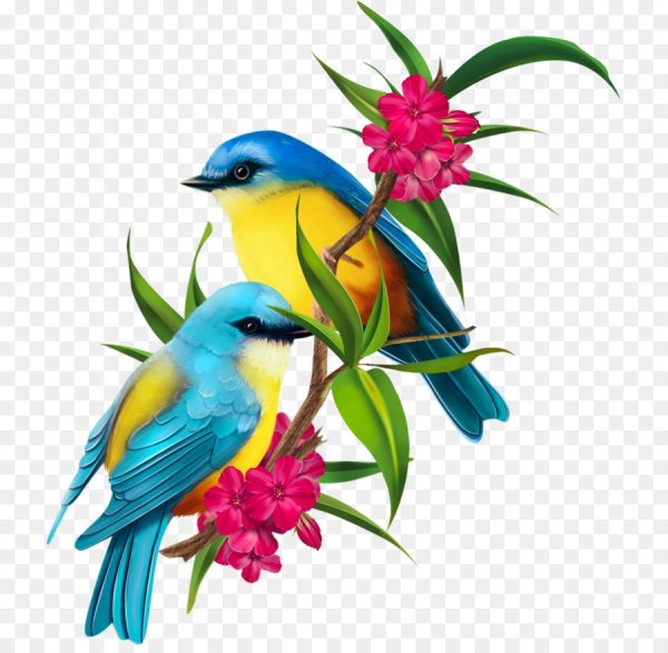 Весенние птицы на прозрачном фоне