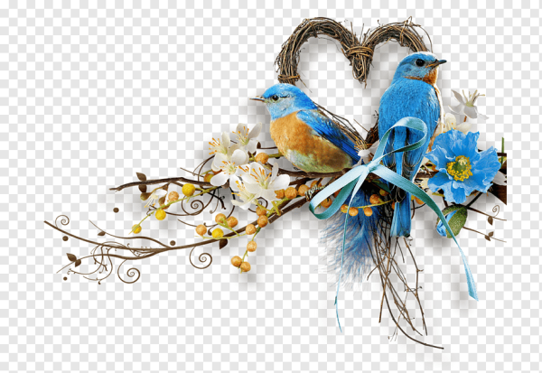 Весенние птицы на прозрачном фоне