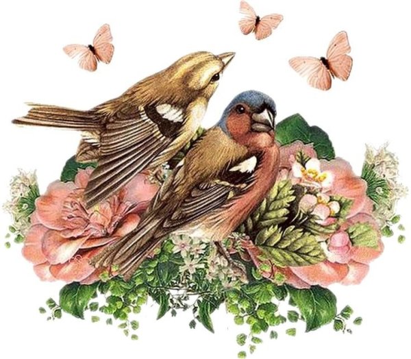 Винтажные птички на прозрачном фоне