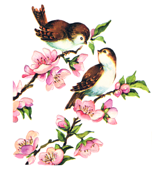 Цветы и птицы на белом фоне