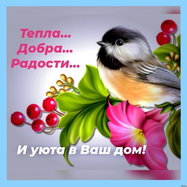 Весенние птицы на прозрачном фоне