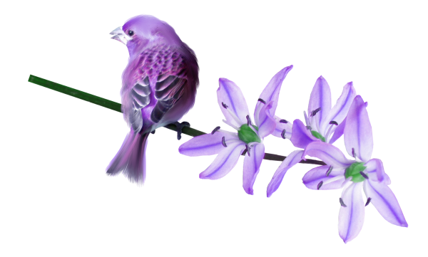 Весенние птички на белом фоне