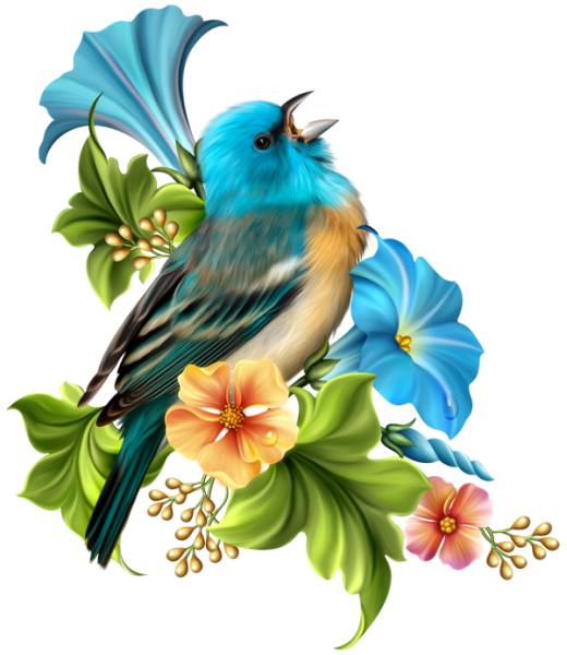 Птички цветы на прозрачном фоне