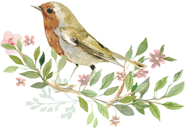 Птички цветы на прозрачном фоне