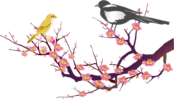 Весенние птицы на прозрачном фоне