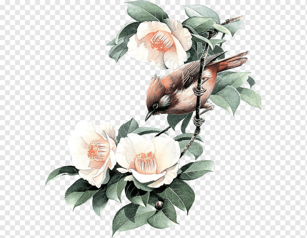 Птичка на цветущей ветке акварелью