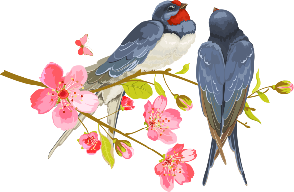 Ласточка на ветке