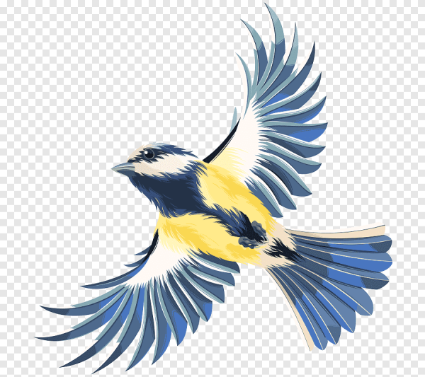 Птички на прозрачном фоне