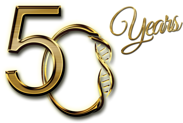 Красивая цифра 50