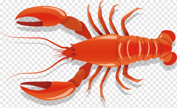 Рачки на прозрачном фоне