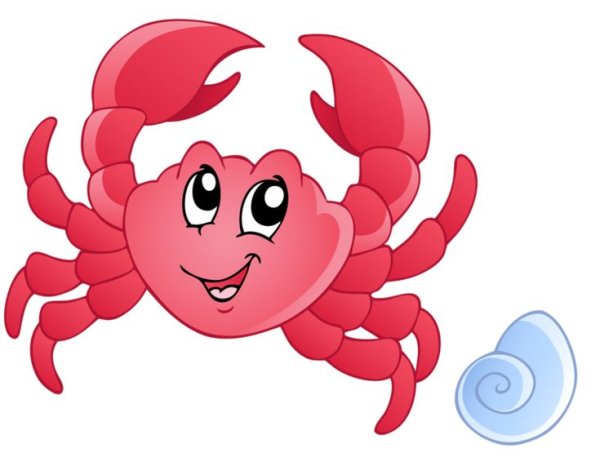 Морские обитатели на прозрачном фоне для детей