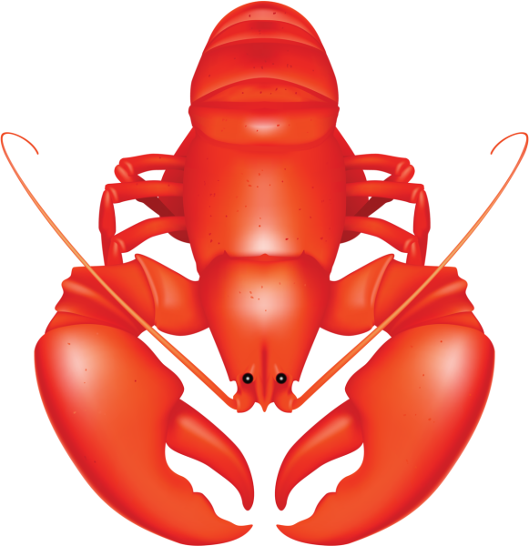 Омар на прозрачном фоне