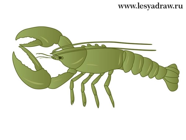 Рачки фото нарисовать
