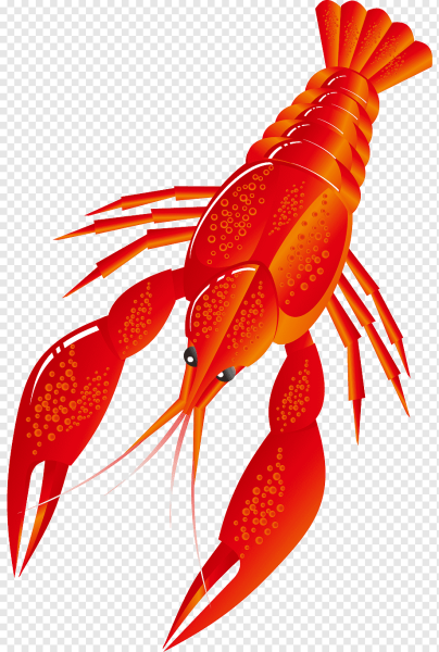 Креветка из мультика имя