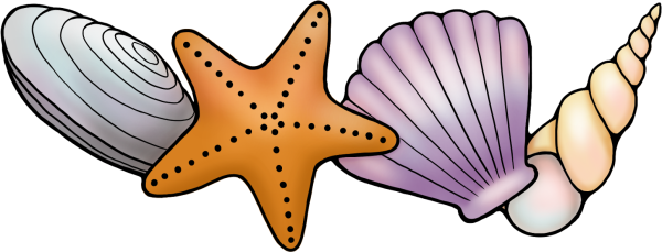 Морские раковины мультяшные