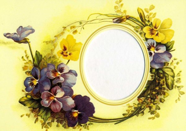 Рамка фиалки