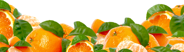 Кухня фартук апельсин