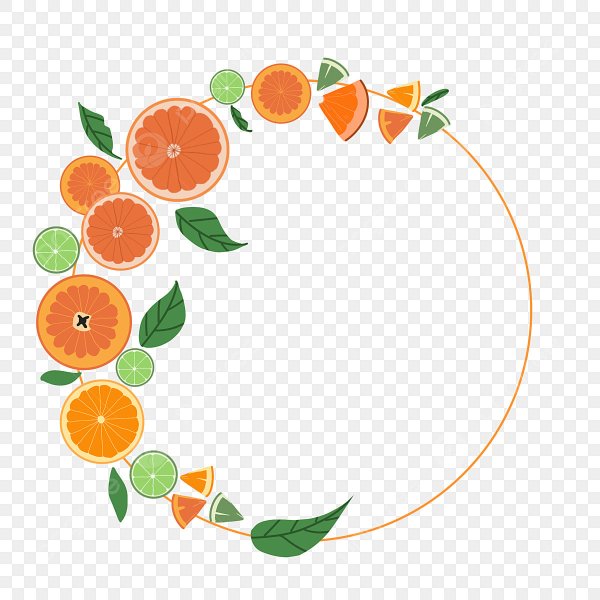 Фрукты по кругу вектор