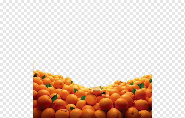 Рамка с мандаринами