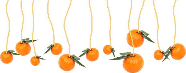 Гирлянда из мандарин