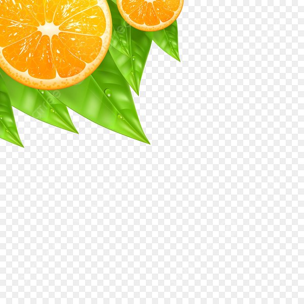 Апельсины вектор рамка