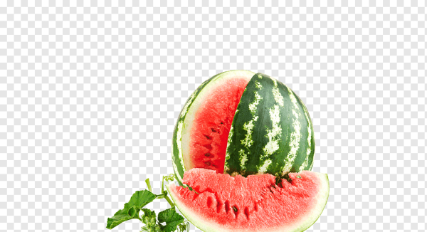 Арбуз и дыня без фона