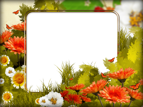 Рамка осенние цветы