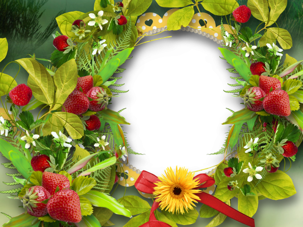 Рамка для летнего коллажа