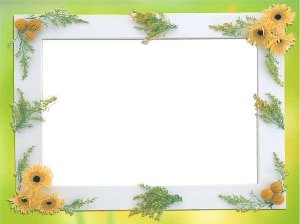 Летняя рамка