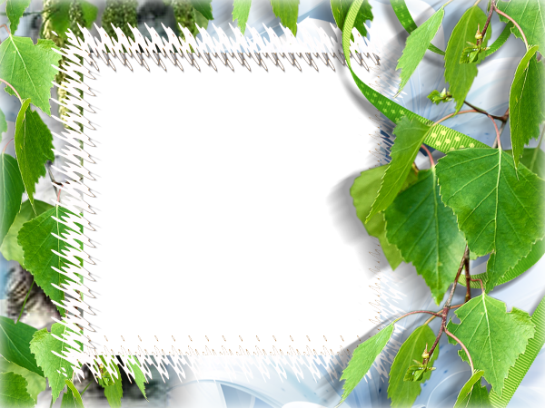 Рамка прозрачная природа