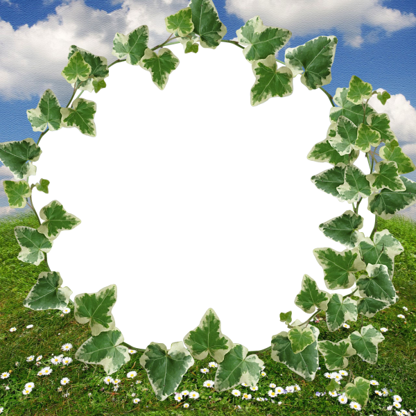 Красивые рамки с природой