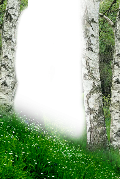 Рамка природа