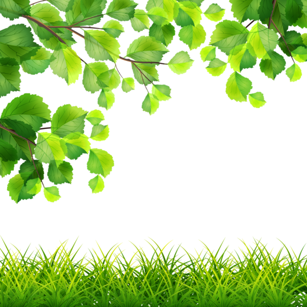 Рамка с березовыми листочками