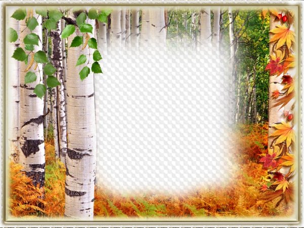 Рамка Березка