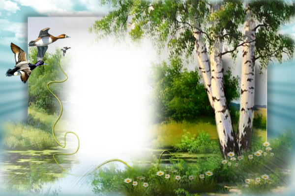 Рамка береза