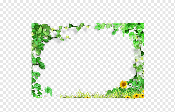 Рамка из зелени для фотошопа