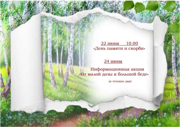 Шаблон Березки