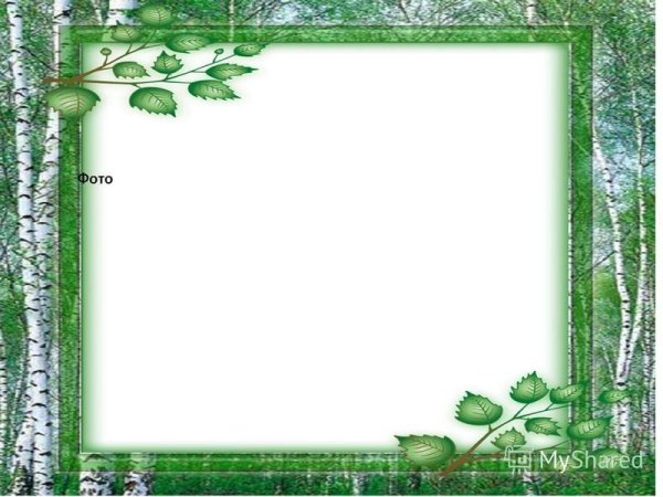 Фоторамка "береза"