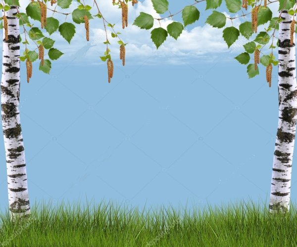 Рамка Березка