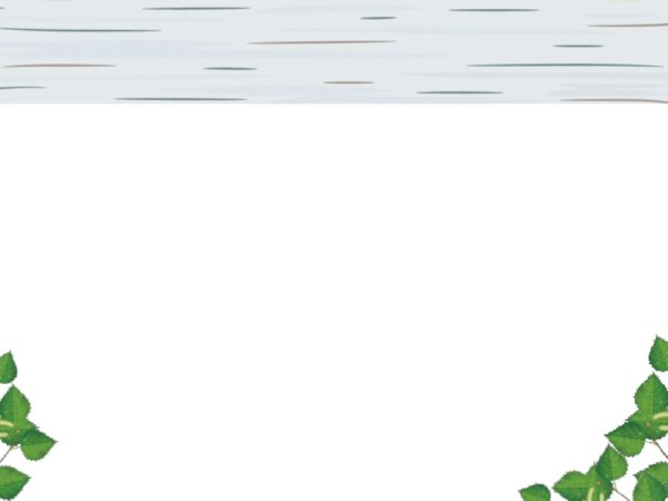 Березовая рамка