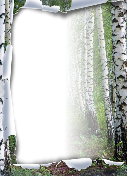 Рамочка Березка
