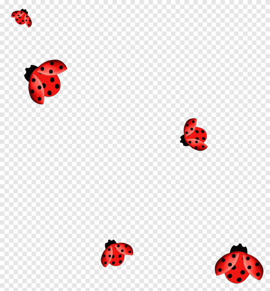 Божья коровка летит на прозрачном фоне